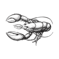 specialty-seafood-illustration