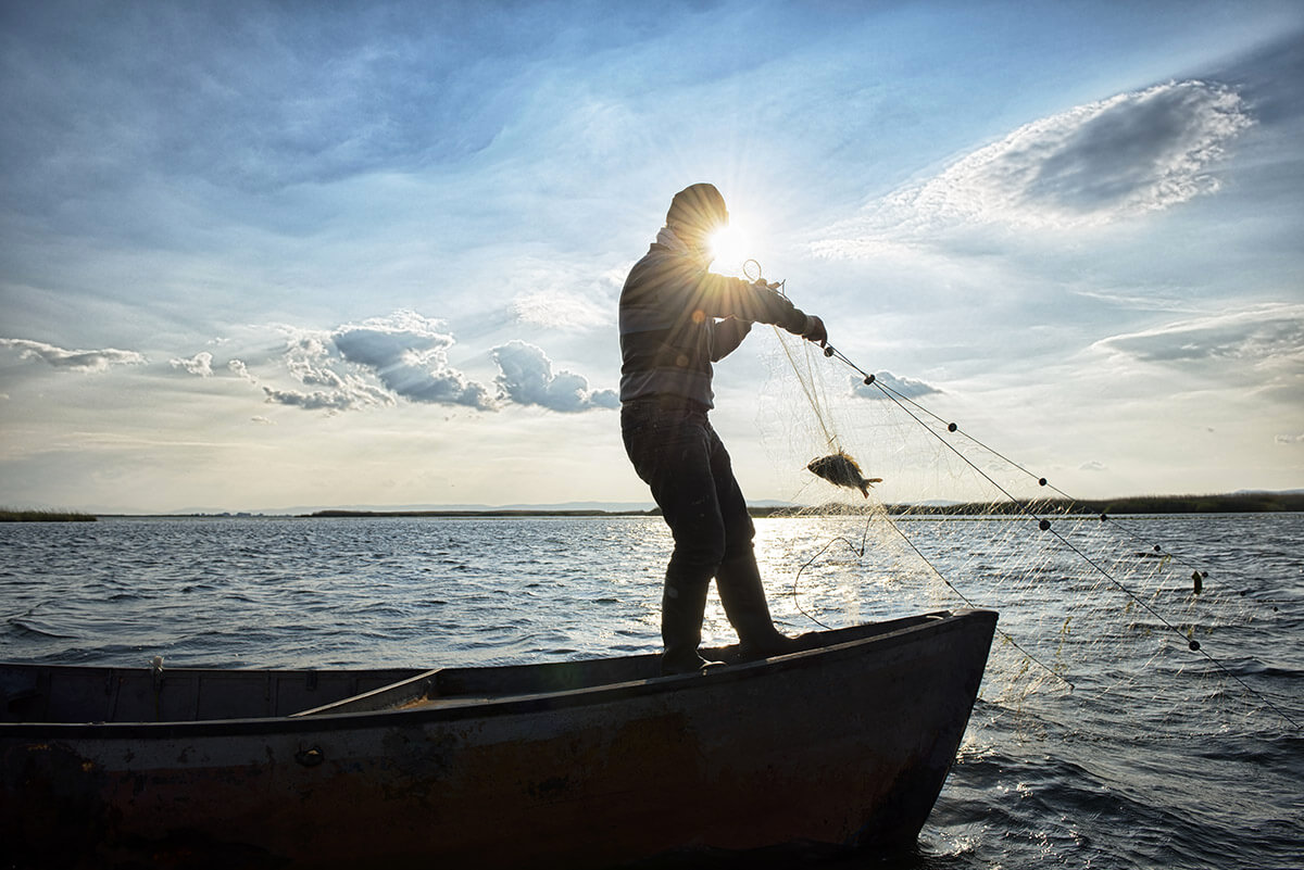 sourcing-and-sustainability-wild-caught-fish