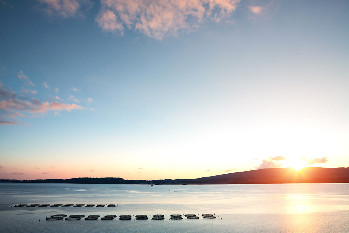 sourcing-and-sustainability-fish