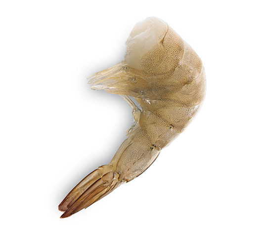 retail-food-service-raw-shrimp-easy-peel-shell-on
