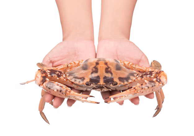 1.0 Crab Hero FINAL_3 retail-foodservice-crab-products