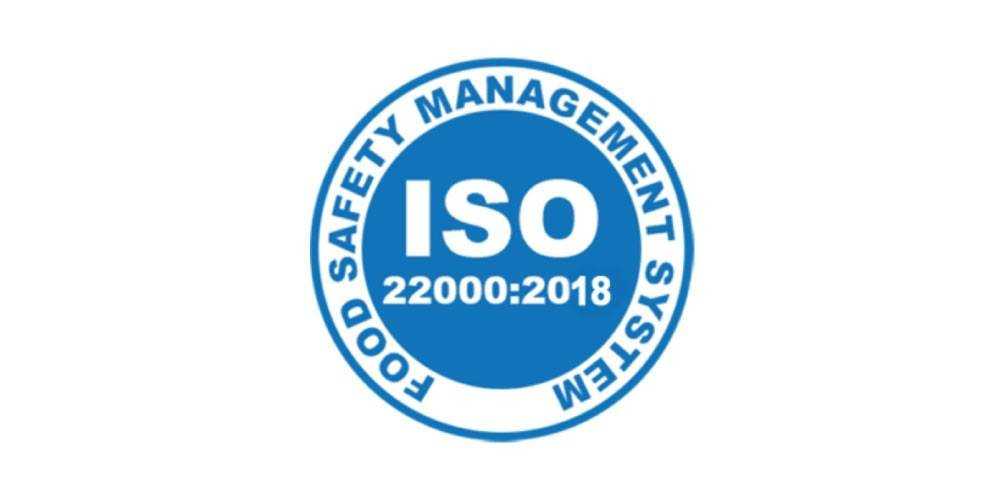 ISO Logo